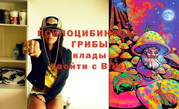 круглые Инсар