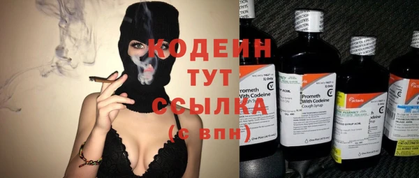 крисы Каменка
