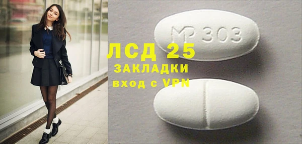 крисы Каменка