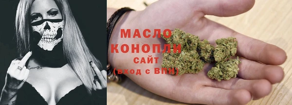 крисы Каменка
