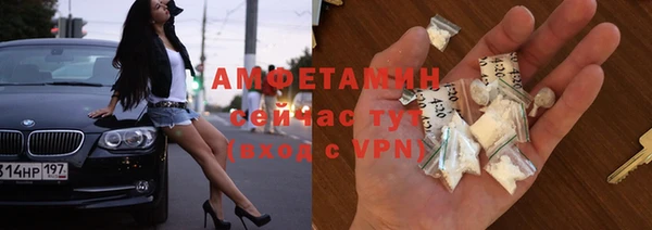 крисы Каменка