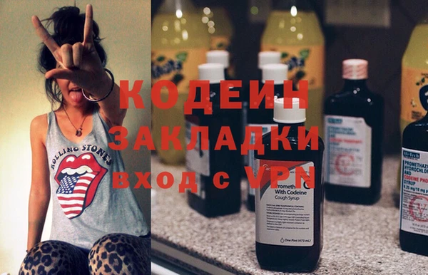 крисы Каменка