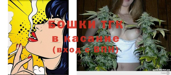 крисы Каменка