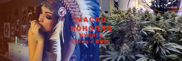 крисы Каменка