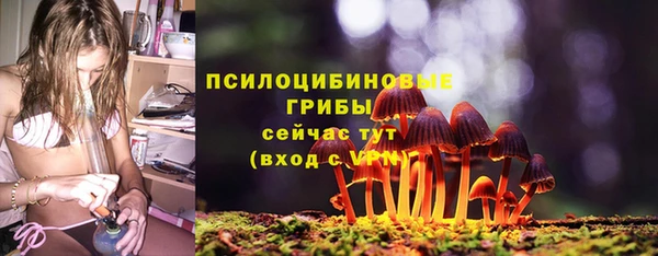 дмт Каменск-Шахтинский
